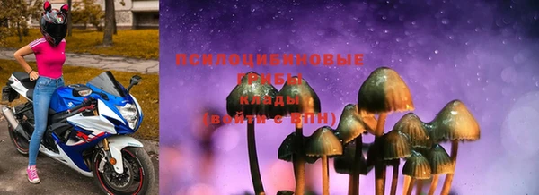 МДПВ Лагань