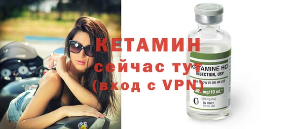 прущие грибы Лабытнанги