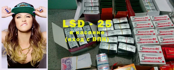 прущие грибы Лабытнанги